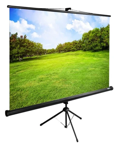 Экран Cactus 150x200см TriExpert CS-PSTE-200x150-BK 4:3 напольный рулонный черный фото 1