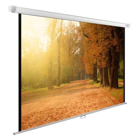 Экран Cactus 125x200см WallExpert CS-PSWE-200x125-WT 16:10 настенно-потолочный рулонный фото 1