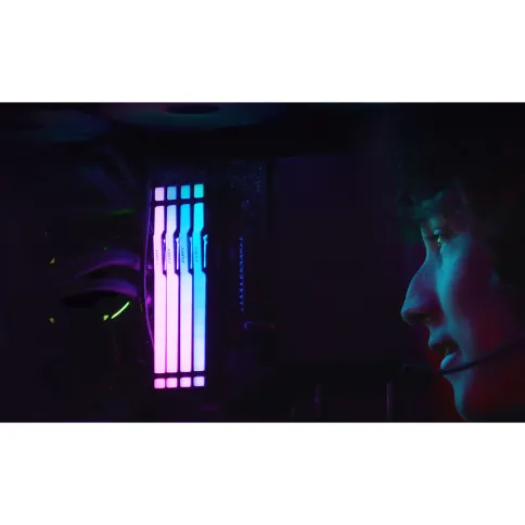 Kingston FURY Beast KF556C36BBEA-32 фото 8