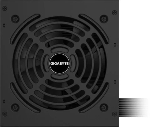 Gigabyte GP-P650G фото 5