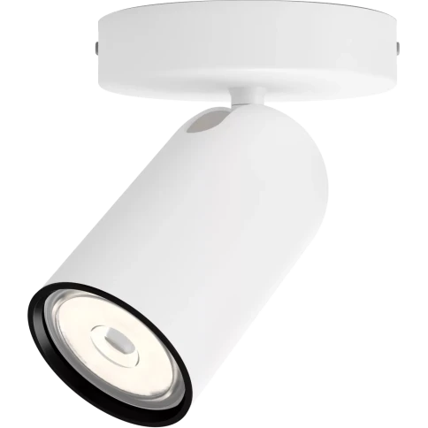 Потолочный светильник Philips/ Потолочный светильник PONGEE single spo фото 1