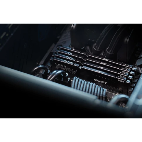 Kingston KF556C40BB2-32 фото 7