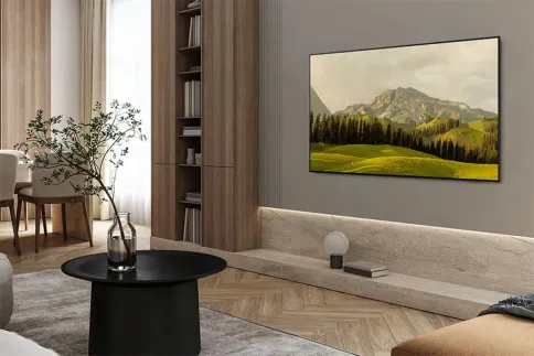 Телевизор Samsung QE55S85FAEXRU фото 9