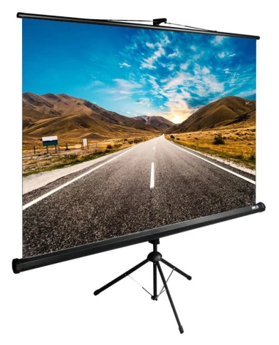 Экран Cactus 160x160см TriExpert CS-PSTE-160x160-BK 1:1 напольный рулонный черный фото 1