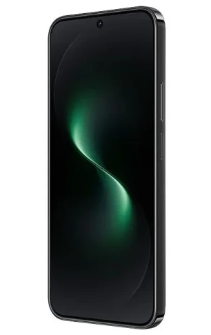 Huawei 51098TSH фото 4