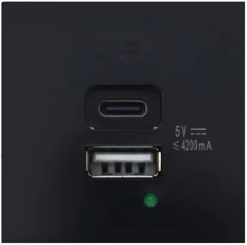 Donel USB зарядное устройство, 4.2A , Type A + C, 2 мод., черн. (45х45мм) фото 1