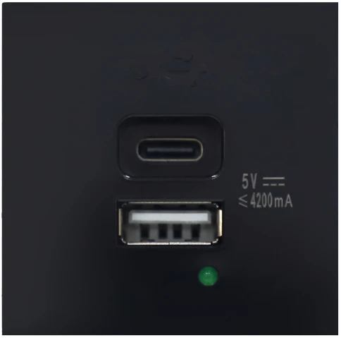 Donel USB зарядное устройство, 4.2A , Type A + C, 2 мод., черн. (45х45 фото 1