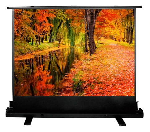 Экран Cactus 150x200см FloorExpert CS-PSFLE-200X150 4:3 напольный рулонный фото 1