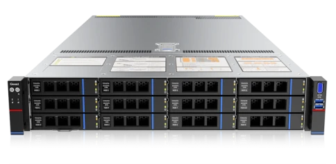 Серверная платформа/ Gooxi SL201-D12R-G4 2u 12bay server platform with фото 1