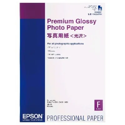 Epson C13S042091 фото 1