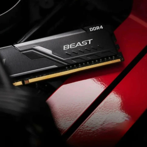 Kingston FURY Beast Black (KF432C16BB1/16WP) фото 7