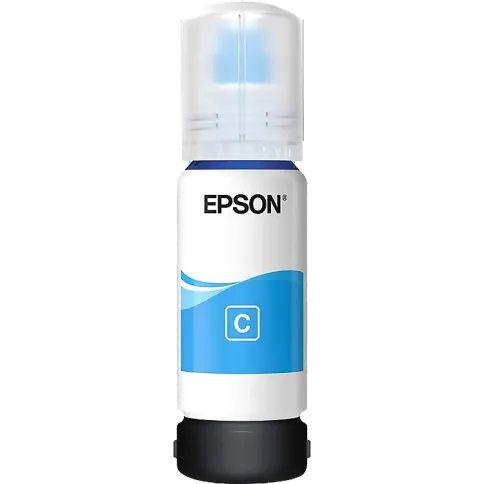 Epson C13T00V298 фото 1