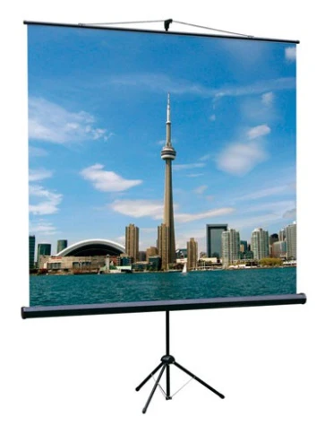 Экран на треноге Lumien 150x150см Eco View LEV-100101 1:1 напольный рулонный фото 1