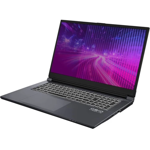 Ноутбук CyberLine C170i-002 17.3"(1920*1080 IPS (матовый, 144Hz) )/Int фото 3