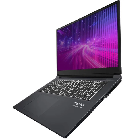 Ноутбук CyberLine C170i-001 17.3"(1920*1080 IPS (матовый, 144Hz) )/Int фото 7